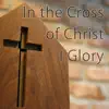 In the Cross of Christ I Glory - Hymn Piano Instrumental - Single album lyrics, reviews, download