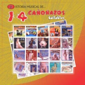 Historia Musical de 14 Cañonazos Bailables artwork