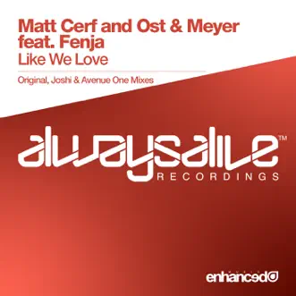 Like We Love (feat. Fenja) by Matt Cerf & Ost & Meyer song reviws