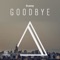 Goodbye / Ready Go - Single