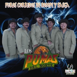 Los Pumas del Norte - El Acelerado