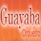 Guayaba Sentimental artwork
