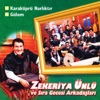 Kara Erik Çağala, 2003