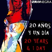 20 Años y un Día artwork