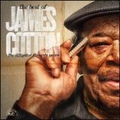 The Best of James Cotton - The Alligator Records Years artwork