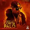 Stream & download Corta y Palo - Single