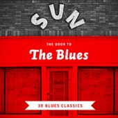 The Door to the Blues - 30 Blues Classics artwork