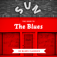 Various Artists - The Door to the Blues - 30 Blues Classics artwork