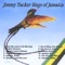 Jamaica Noel (No Snow in Our Carib Island) - Jimmy Tucker lyrics