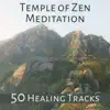 Temple of Zen Meditation: 50 Healing Tracks – Zen Garden Music for Deep Contemplation, Relaxing Melody for Spa & Wellness, Serenity, Reiki, Stress Relief Sounds album lyrics, reviews, download