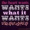 The Heart Wants What It Wants - Nicole Russin-McFarland lyrics