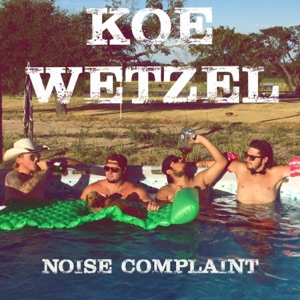 Noise Complaint