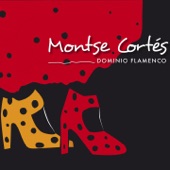 Dominio Flamenco artwork