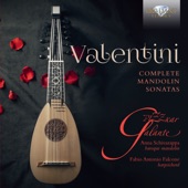 Valentini: Complete Mandolin Sonatas artwork