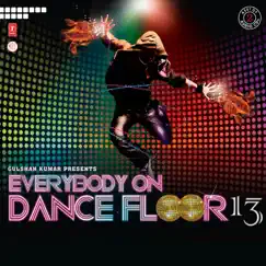 Everybody On Dance Floor, Vol. 13 by Various Artists album reviews, ratings, credits