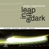 Leap in the Dark