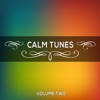 Calm Tunes, Vol. 02
