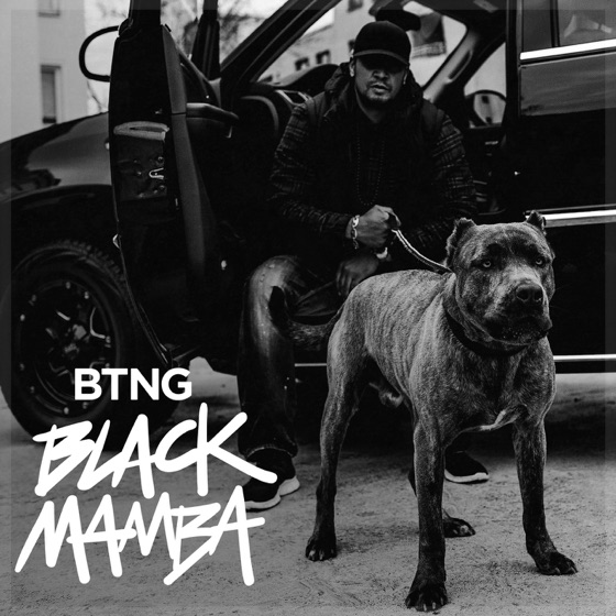 Cover artwork for Black Mamba