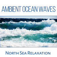 Calm Sea Ambient - Ambient Ocean Waves: North Sea Relaxation, Yoga Music & Meditation, Crushing Waves, Seagulls, Nature & Liquid Sounds to Calm Down artwork