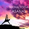 Hatha Yoga Asanas - 40 Tracks, Rebel Music for Fitness and Weight Loss album lyrics, reviews, download