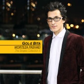 The Singles Collection: Gol-e Bita artwork