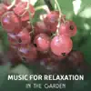 Music for Relaxation in the Garden – Blissful Rest & Renewal, Healing Nature Sounds for Mind Regeneration, Deep Meditation, Positive Attitude album lyrics, reviews, download
