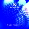 Vocal Pozitivity artwork