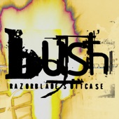 Bush - Greedy Fly