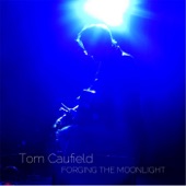 Forging the Moonlight artwork