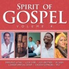 Spirit of Gospel, Vol. 4, 2014