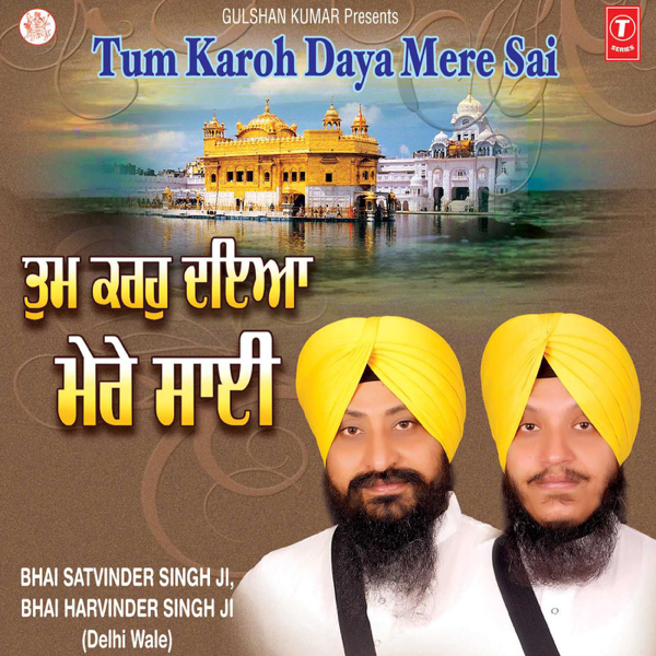 tum karo daya mere sai bhai satvinder singh mp3