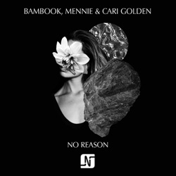 Bambook - No Reason (feat. Cari Golden)