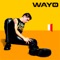 Prisionero de Tu Encanto - Wayo lyrics