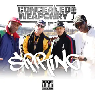 Spring - Single by Concealed Weaponry & J-Love album reviews, ratings, credits