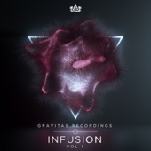 Infusion, Vol. 1 - Various Artists