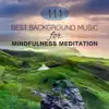 111 Best Background Music for Mindfulness Meditation, Sounds of Earth, Tibetan Chakra Meditation, Relaxing Zen Garden Tracks, Stress Fighter album lyrics, reviews, download