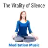 The Vitality of Silence: Meditaton Music – Contemplation Time, Sounds of Nature for Quiet Mind, Relaxation, Sleep, Vital Energy & Yoga album lyrics, reviews, download