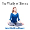 The Vitality of Silence: Meditaton Music – Contemplation Time, Sounds of Nature for Quiet Mind, Relaxation, Sleep, Vital Energy & Yoga