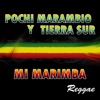 Hierba Mala by Pochi Marambio y Tierra Sur iTunes Track 1