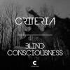 Blind Consciousness - Single