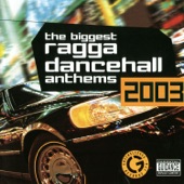 The Biggest Ragga Dancehall Anthems 2003 artwork