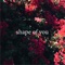 Shape of You - Sebastian Olzanski lyrics