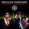 Nobody Is Perfect (feat. Money Mark) - Mexican Dubwiser lyrics