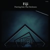 Fiji - Between the Place, Between the Time