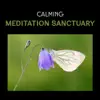 Meditation Soundscapes song lyrics