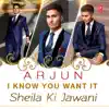 I Know You Want It (Sheila Ki Jawani) - Single album lyrics, reviews, download