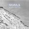 Almost (Acaddamy Remix) - Quails lyrics