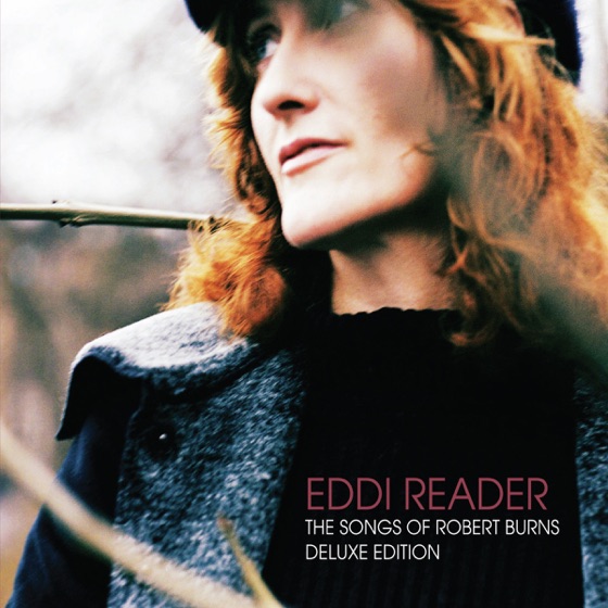 Cover artwork for Wild Mountainside