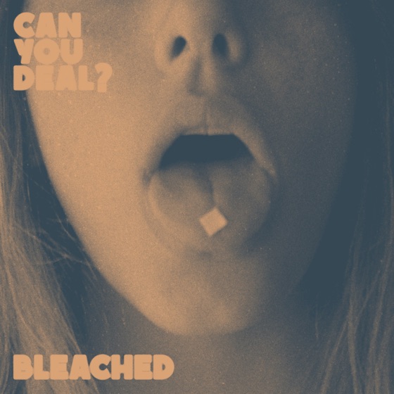 Cover artwork for Flipside
