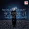 Lieder von Franz Schubert, S. 558: No. 2, Auf dem Wasser zu singen (After D. 774) artwork